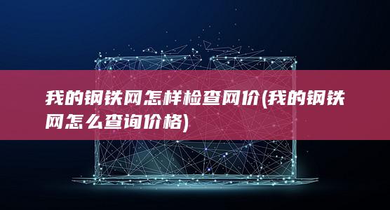 我的钢铁网怎样检查网价