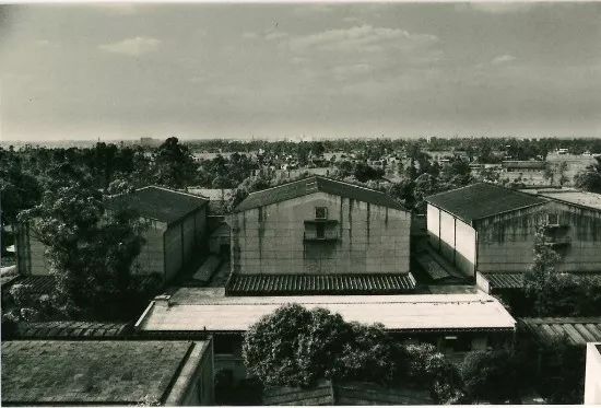 成都金府钢材市场_成都金府钢材批发市场_成都钢材市场地址