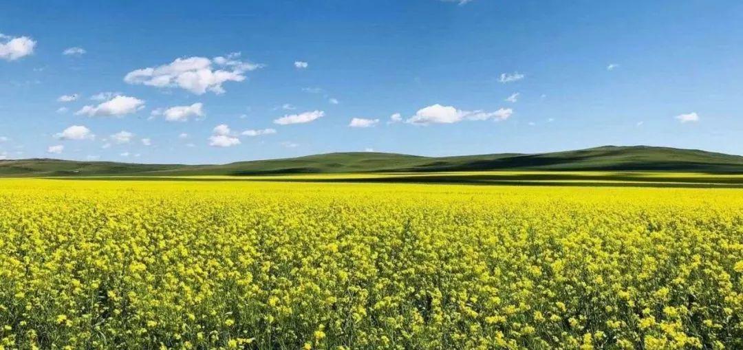 2014年钢材合同_钢材购货合同_钢铁合同书样本