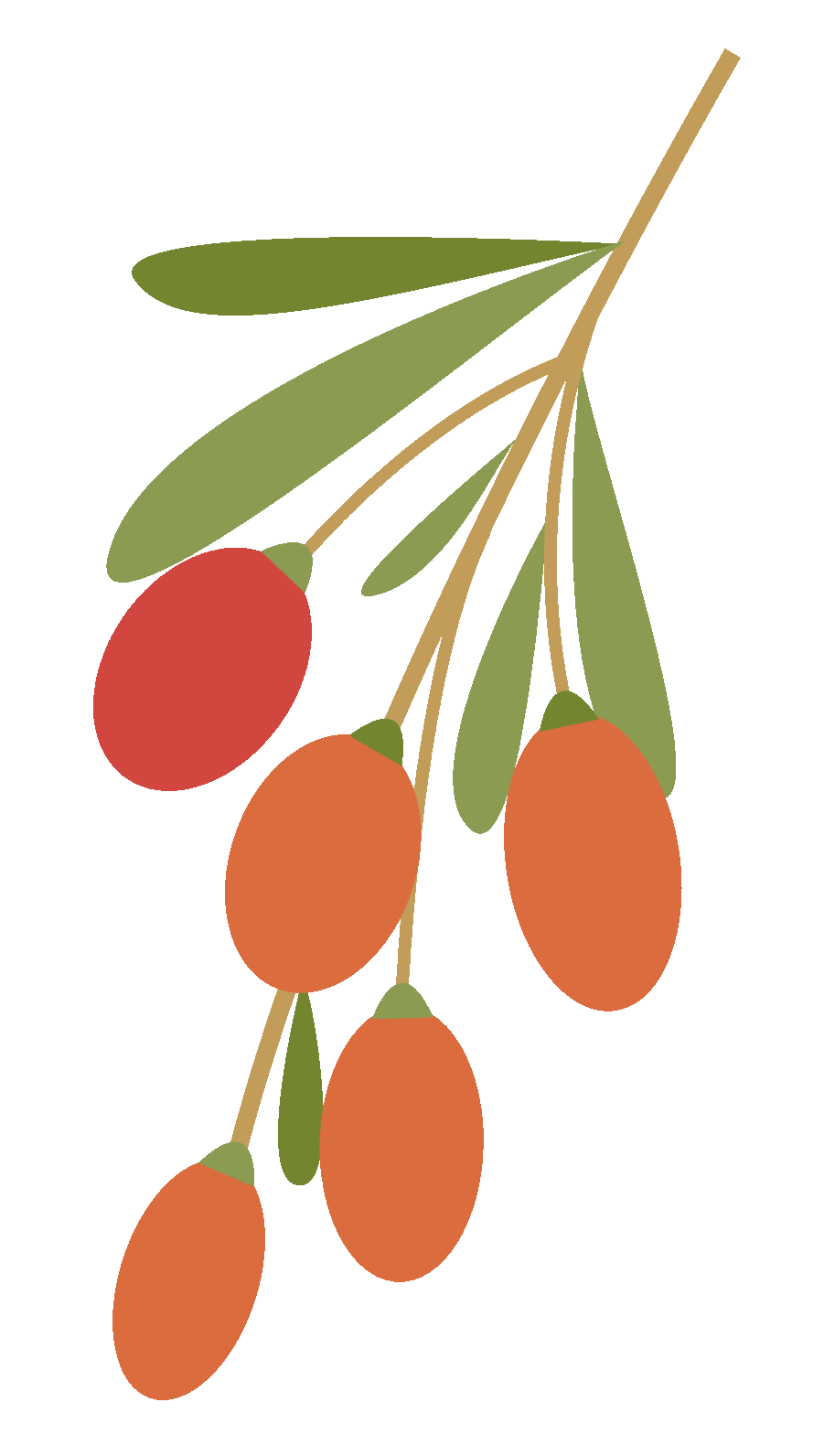 郑州钢材价格行情最新报价_钢材行情报价郑州最新价格查询_钢材行情报价郑州最新价格走势