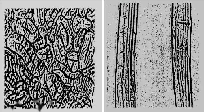 木材的顺纹抗拉取值强度_钢材强度取值_钢材牌号与其强度质量等的关系