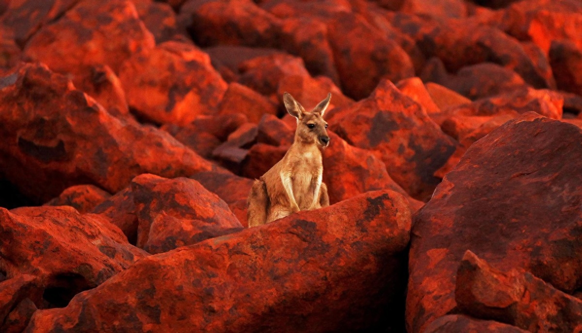 越南钢材价格走势_越南钢材价格行情_越南钢材市场