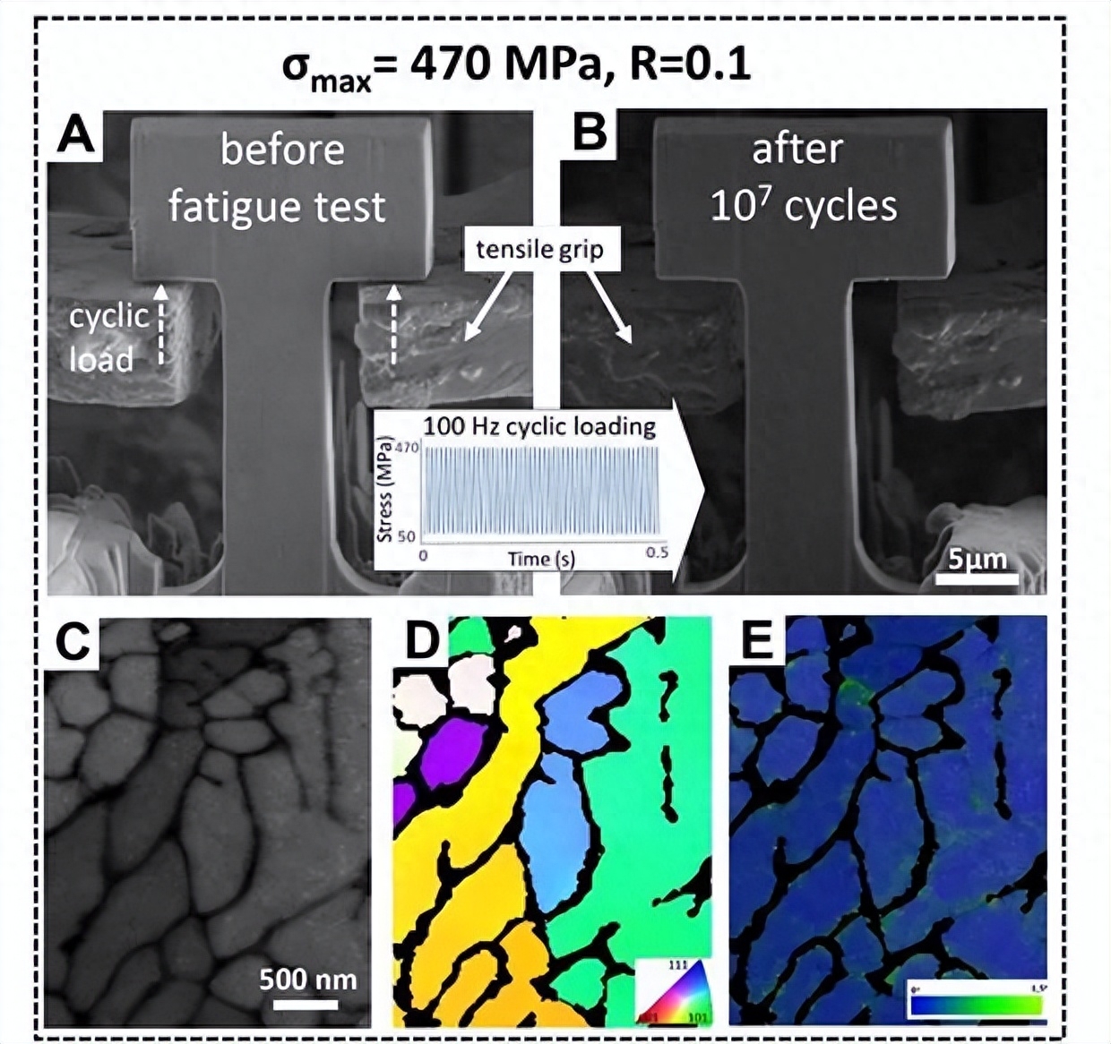 钢材的疲劳强度主要与构造状况_钢材的疲劳强度_钢材的疲劳性能是什么意思