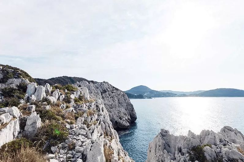 钢材最好的汽车_钢材好的车_钢材用料最好的车