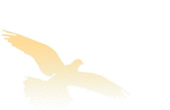 切割钢材算法有哪些_钢材切割 算法_切割钢材算法分析