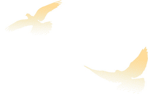 钢材切割 算法_切割钢材算法有哪些_切割钢材算法分析