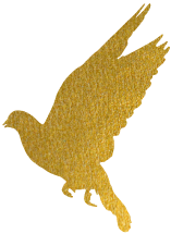 钢材国标标准号是多少_钢材国标标准包括哪些内容_钢材国标标准