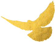 钢材国标标准包括哪些内容_钢材国标标准号是多少_钢材国标标准