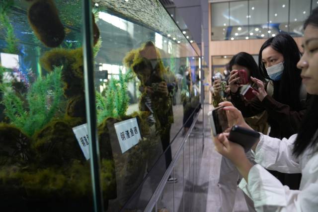 湛江钢材批发市场价格_广东湛江钢材批发商_湛江钢材批发市场