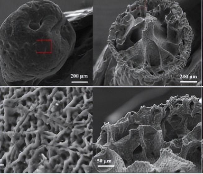 钢材拉伸检测试验方法的依据是_钢材拉伸检测_钢材拉伸检测方法