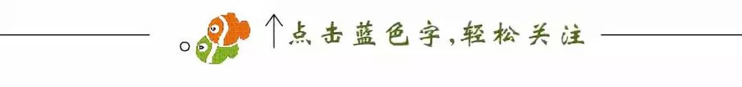 石家庄钢材市场搬到哪里去了_石家庄钢材市场有几个_石家庄钢材市场