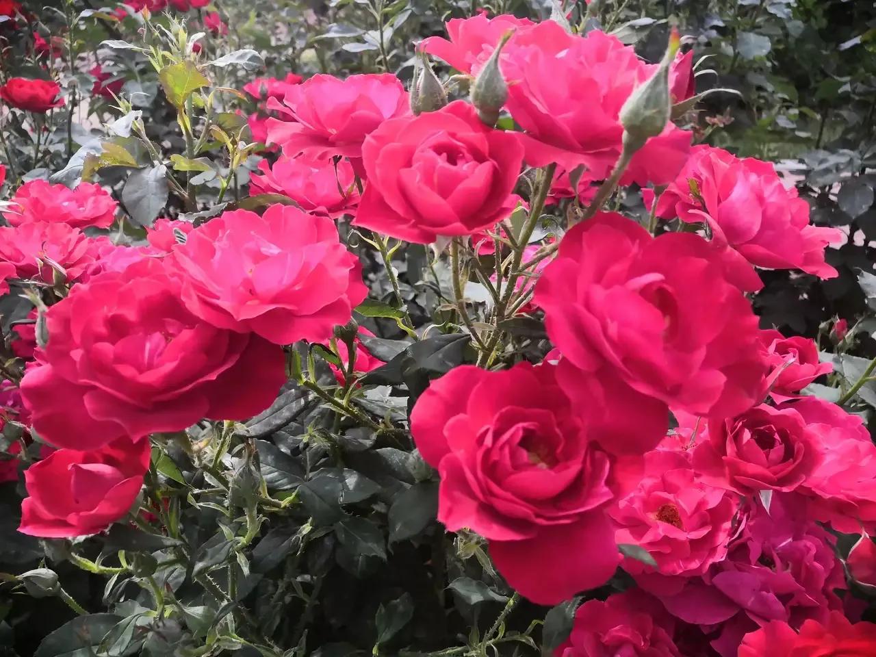 圆柱形钢材重量计算_一根圆柱形的钢材长2米_圆形钢柱的重量计算公式