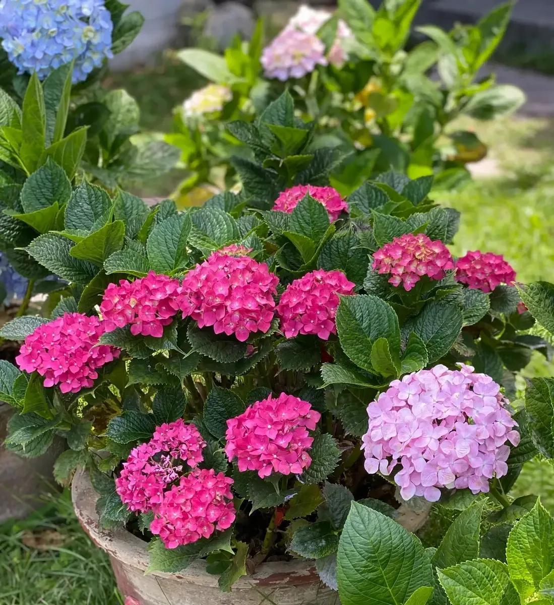 一根圆柱形的钢材长2米_圆柱形钢材重量计算_圆形钢柱的重量计算公式