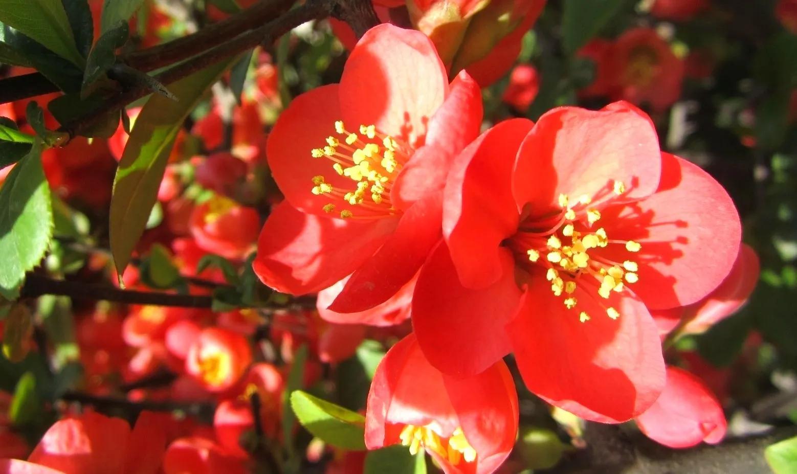 一根圆柱形的钢材长2米_圆形钢柱的重量计算公式_圆柱形钢材重量计算