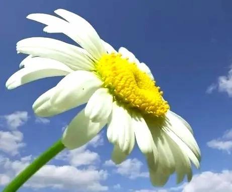 一根圆柱形的钢材长2米_圆形钢柱的重量计算公式_圆柱形钢材重量计算