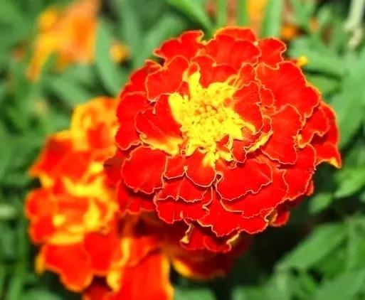 一根圆柱形的钢材长2米_圆柱形钢材重量计算_圆形钢柱的重量计算公式