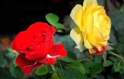 圆形钢柱的重量计算公式_一根圆柱形的钢材长2米_圆柱形钢材重量计算