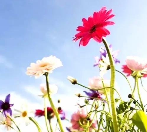 一根圆柱形的钢材长2米_圆形钢柱的重量计算公式_圆柱形钢材重量计算