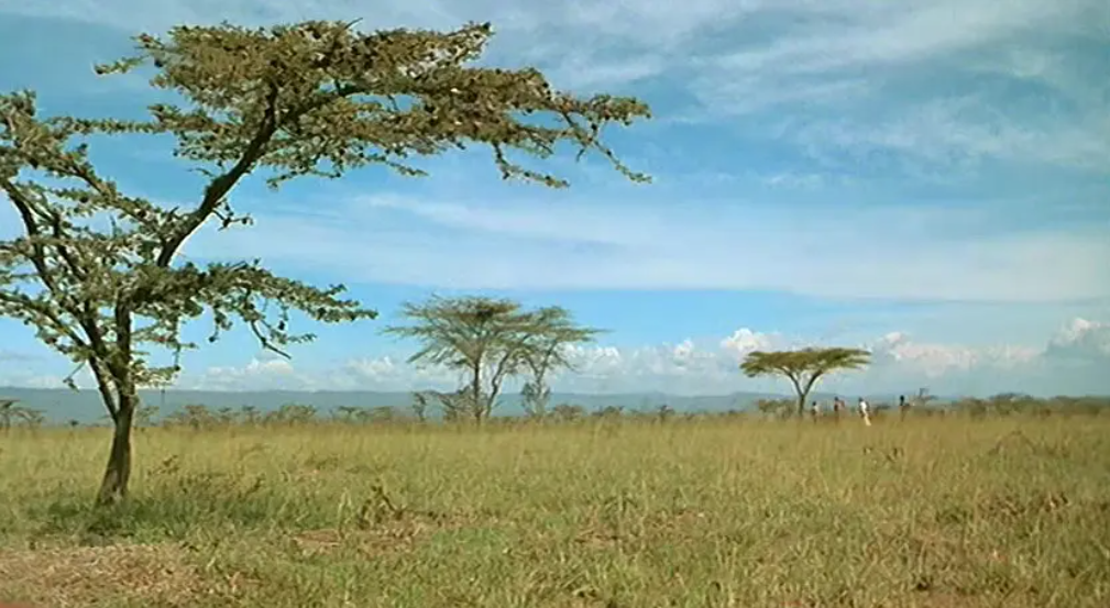 钢材物流企业现状_钢材现状物流企业有哪些_钢铁物流行业分析