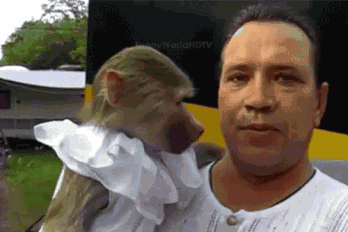 编码税收钢材分类有哪些_钢材的税收分类编码_钢材的商品税目编码是多少