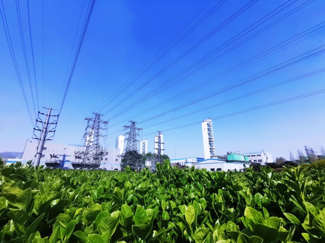 河北钢材股票_河北钢材上市公司_钢材河北股票行情