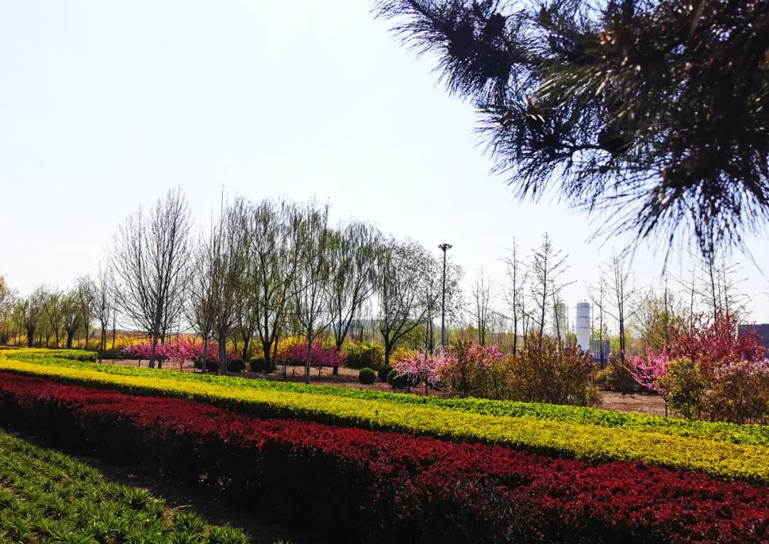 河北钢材上市公司_河北钢材股票_钢材河北股票行情