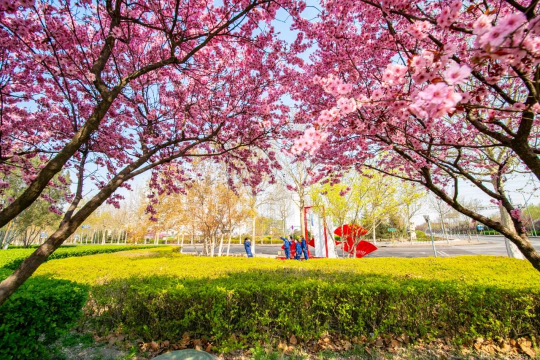 河北钢材上市公司_钢材河北股票行情_河北钢材股票