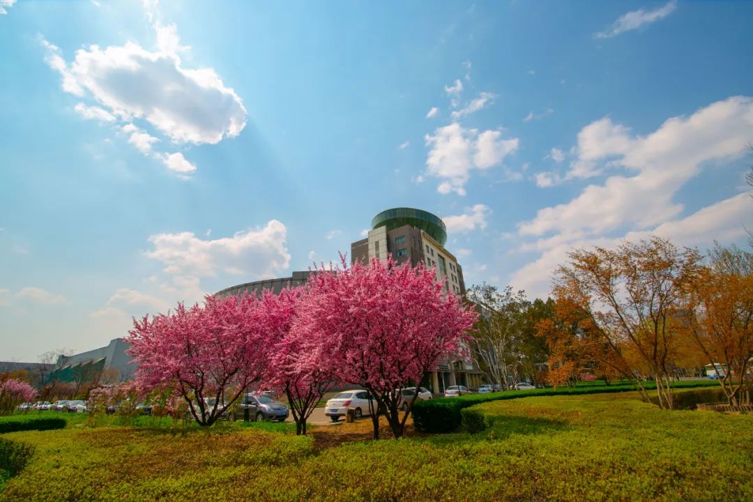 河北钢材股票_钢材河北股票行情_河北钢材上市公司