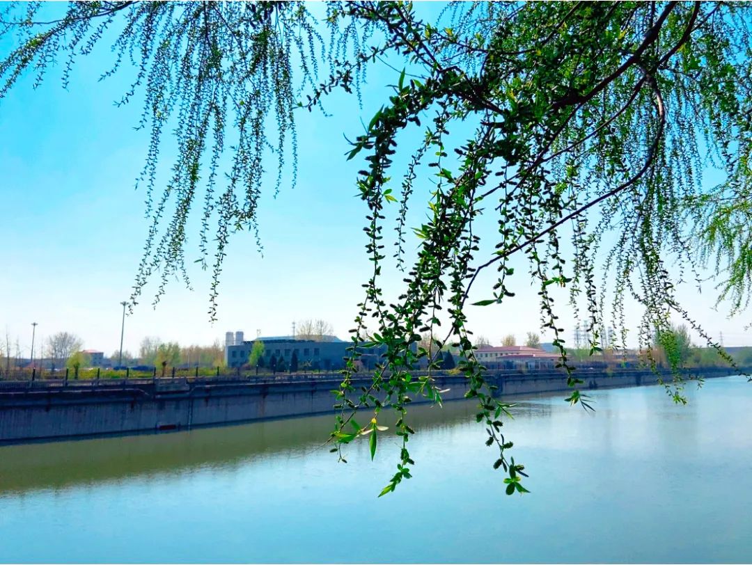 钢材河北股票行情_河北钢材上市公司_河北钢材股票