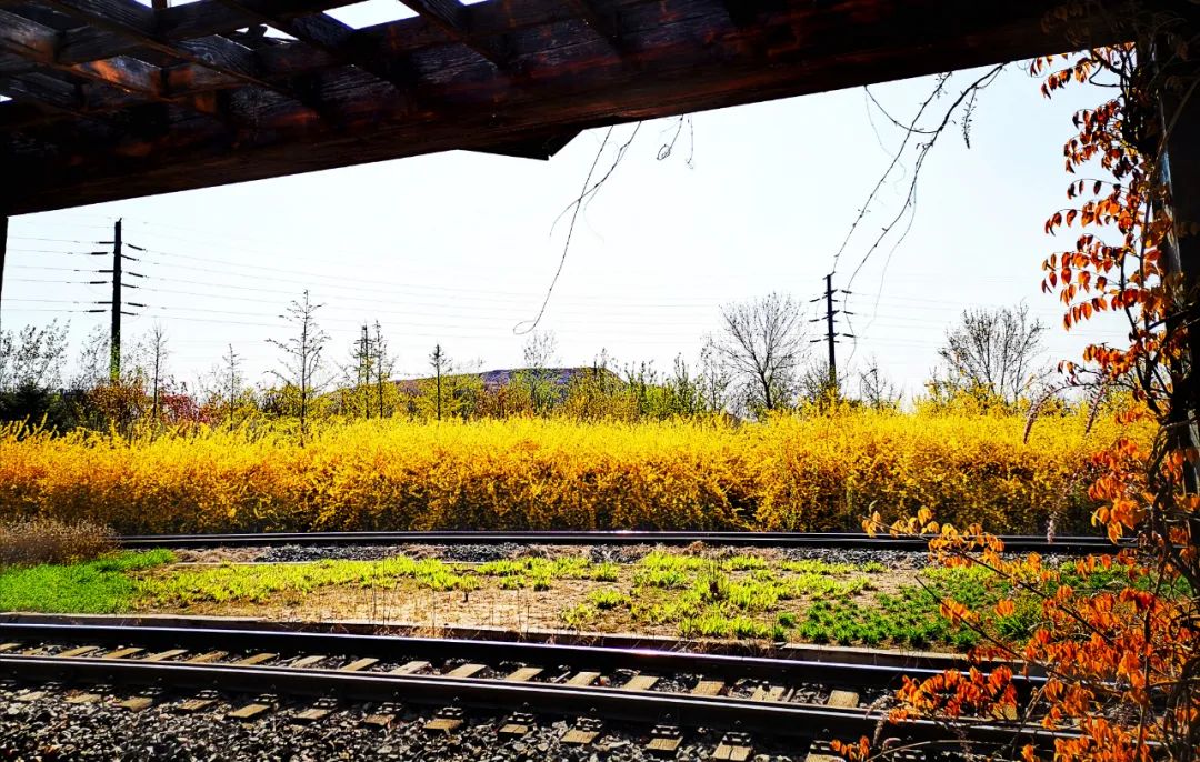 钢材河北股票行情_河北钢材上市公司_河北钢材股票