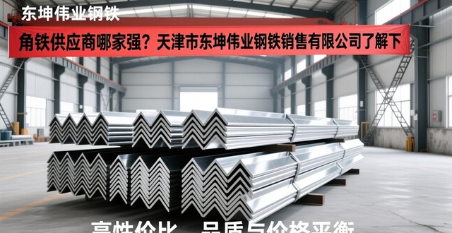 天津市东坤伟业钢铁销售有限公司 角铁供应商 角铁采购_钢材品牌有哪些