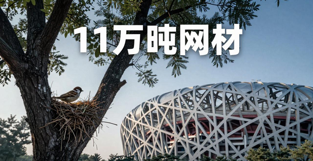鸟巢用钢量11万吨_鸟巢设计特点_鸟巢用了多少吨钢材
